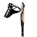 Sports : Leki Instructor Teleskop Nordic Walking