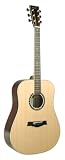 Recording King Contemporary Series II Dreadnought Acoustic Guitar ( Rosewood ) - B001B8QB9Y