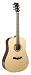 Recording King Contemporary Series II Dreadnought Acoustic Guitar, Solid Rosewood Back & Sides