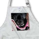 Jos Fauxtographee Realistic - Adorable Shiatsu Pug Pet Dog in Vibrant Pink and Green Sweater With Cute Hair Cut Close Up - Aprons