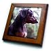 Black Dachshund - 8x8 Framed Tile