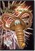 Mad Hatz & Wild Wearables #2 by Don Caldwell-DVD