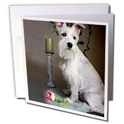 Dogs Schnauzer - White Schnauzer - Greeting Cards-6 Greeting Cards with envelopes On Sale