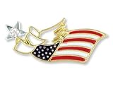 Patriotic Angel