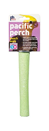 Prevue pet products bpv1006 natural seashell beachwalk …