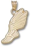 Track Winged Foot Charm/Pendant -14K/10K, Stainless Steel or Gold Plated