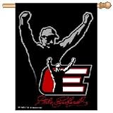 Dale Earnhardt NASCAR Banner