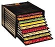 Excalibur 2900 Economy Series 9 Tray Food Dehydrator - Black