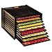 Excalibur 9 Tray Dehydrator - ED 2900 Dehydrater - Jerky Maker Food Dehydrator Excaliber