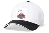 Embroidered White Cap - iron plant hanger