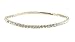 Jewelry : Anklet - Stretch Swarovski (tm) Crystal ~ Clear