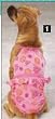 Casual Canine Fruit Bowl Dog Bathing Suit (One-Piece) - XX-Small (XXS)