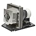 Electronics : Optoma BL-FS220A Replacement Projector Lamp