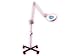 New 5X Magnifying Lamp on a Stand