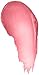 CoverGirl Lipslicks Lipgloss Princess(C) 110, 0.14-Ounce Bottles (Pack of 2)