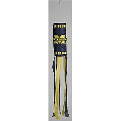 Michigan Wolverines NCAA Lighted Windsock by New Creative