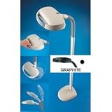 Novelty Lamps