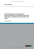 Die Entstehung der Europ�ischen Gemeinschaften und ihre Reform durch die Vertr�ge von Maastricht, Amsterdam und Nizza