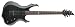 ESP LTD F100FM Electric Guitar (See Thru Black, Flame Maple)