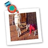 Jos Fauxtographee Realistic - Miniature Shetland Pony and Its Brand New Baby in Red Sweatshirt in Ivins, Utah - Quilt Squares