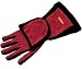 Dog Mud Magnet Cleaning Glove