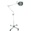 Fantasea Magnifying Lamp