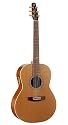Seagull Artist Mosaic Folk QII Guitar