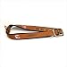 NASCAR Dog Collar Size: X-Large, Driver Number: #8 Dale Earnhardt Jr.