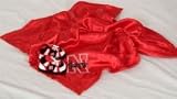 Nebraska Cornhuskers Baby Blanket Set