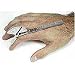 Baseline Finger (Small Joint) Goniometer, Deluxe, 6"