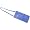 Periwinkle