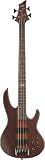ESP LTD