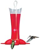 Birdscapes 279 Deluxe Rose Petal 12-ounce Glass Hummingbird Feeder