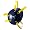 Navy/Gold