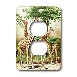 Florene Vintage - Old Painting Of Giraffes - Light Switch Covers - 2 plug outlet cover