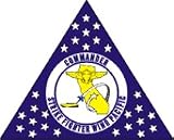 Commander Strike Fighter Wing Pacific