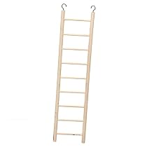 Petco 9 Step Wooden Ladder
