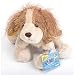 webkinz that rock!