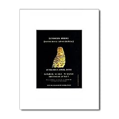 ANDREW BIRD Armchair Apocrypha 254x202mm Matted Music Print/Mini Poster - White