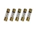 Absolute AGU100 5 Pack AGC Gold Standard Glass Fuses 100 Amp 12 Volts Car Stereo Access