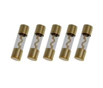 Absolute AGU100 5 Pack AGC Gold Standard Glass Fuses 100 Amp 12 Volts Car Stereo Access
