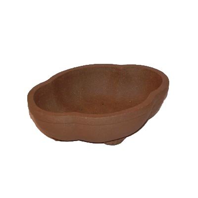 20cm High Quality Fine Clay Bonsai Pot - 5