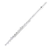 Cecilio 2Series FE-282S Silver Plated 16 Keys Open Hole C Flute
