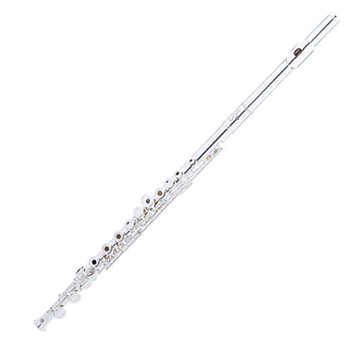 Cecilio 2Series FE-282S Silver Plated 16 Keys Open Hole C Flute