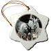 Farm Animals - Pygmy Goat - Ornaments