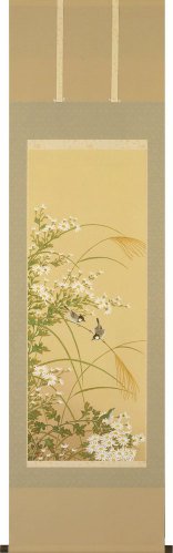 野菊（掛け軸） 三宅和光 画【送料無料】