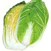 黄望峰65[ハクサイ]【タネ】20ml