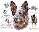 Australian Cattle Dog Adult Sweatshirt