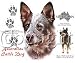 Australian Cattle Dog Adult Sweatshirt