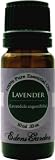 Lavender 100% Pure Therapeutic Grade Essential Oil- 10 ml